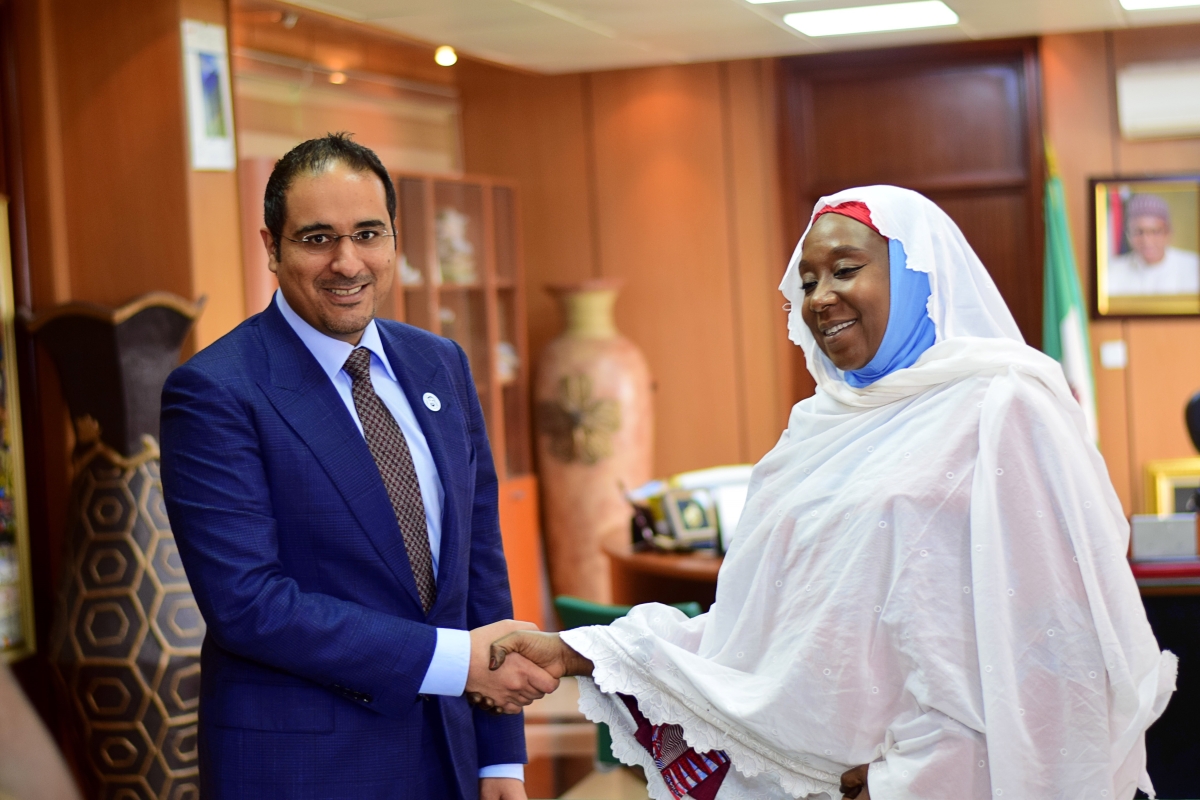 UAE, Nigeria seeking stronger bilateral ties
